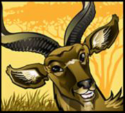 Mega Moolah symbol1