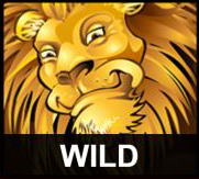 mega Moolah lion symbol