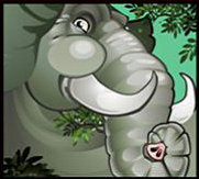 Mega Moolah elephant symbol