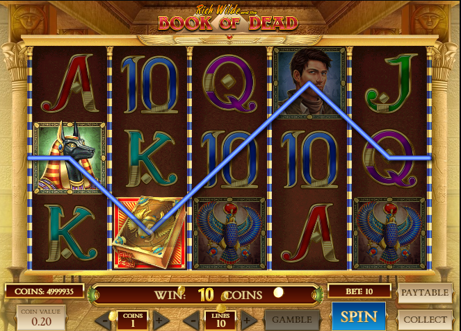 Book of dead slot game -wild symbol
