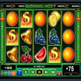 Burning Hot Slot Review