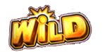 Wild Symbol