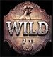 Peaky blinders wild symbol