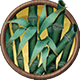 Bamboo symbol
