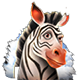 Zebra symbol