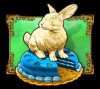 Rabbit Cake