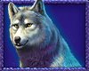 Buffalo King Megaways slot game symbol