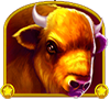 Buffalo symbol