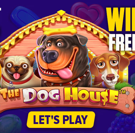 Win 100 free spins with Mozzart Bet every Monday