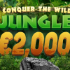 €2,000 Hidden in the Wild: Spin to Win Big with Fazi Slots